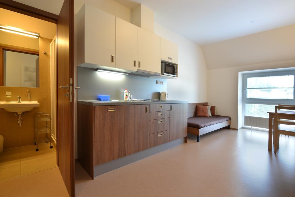 Apartmany Rokytka Snowhouse Рокитніце-над-Їзероу Екстер'єр фото